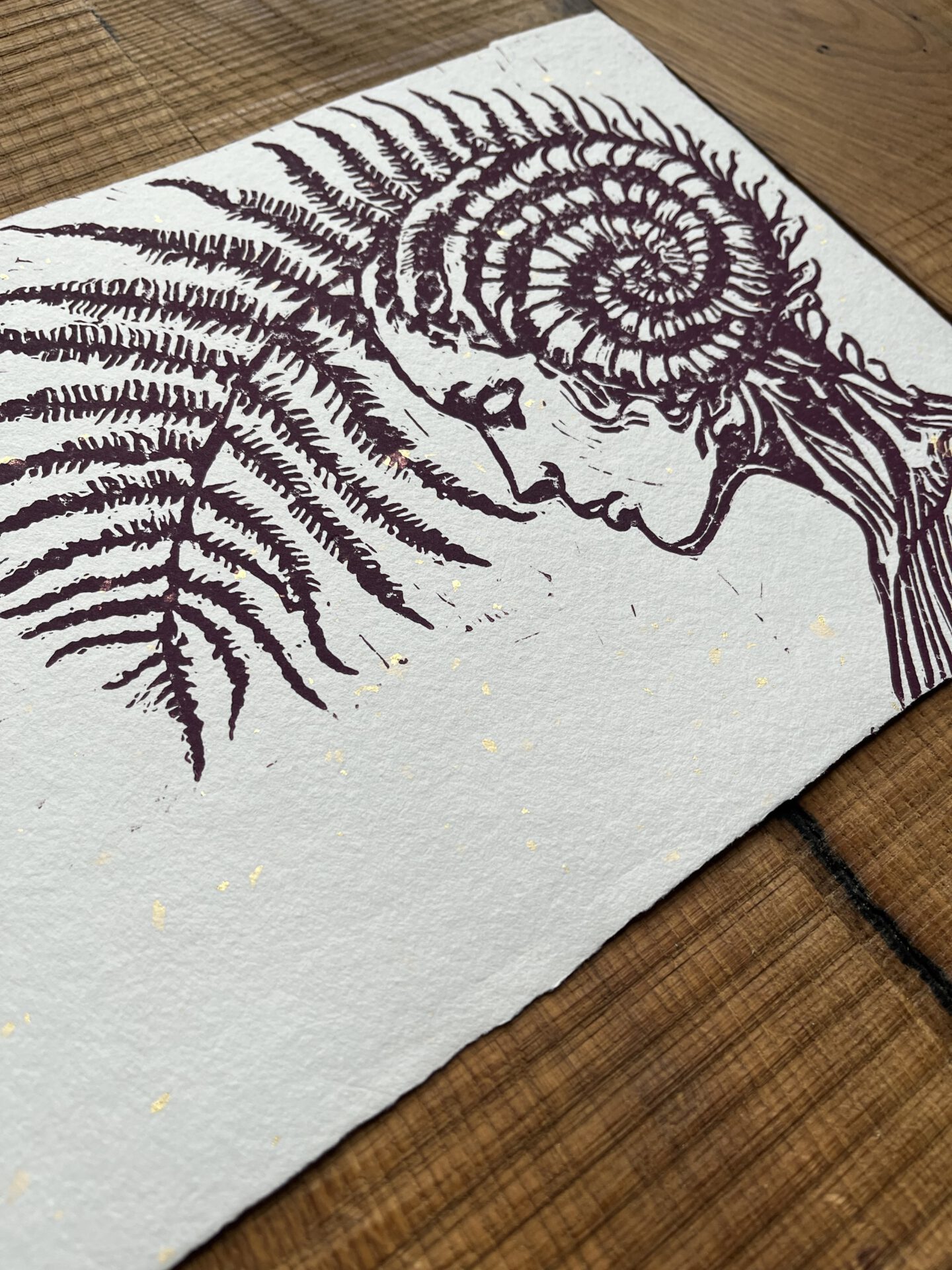 Posterdruck Farnkopf – Bild 2