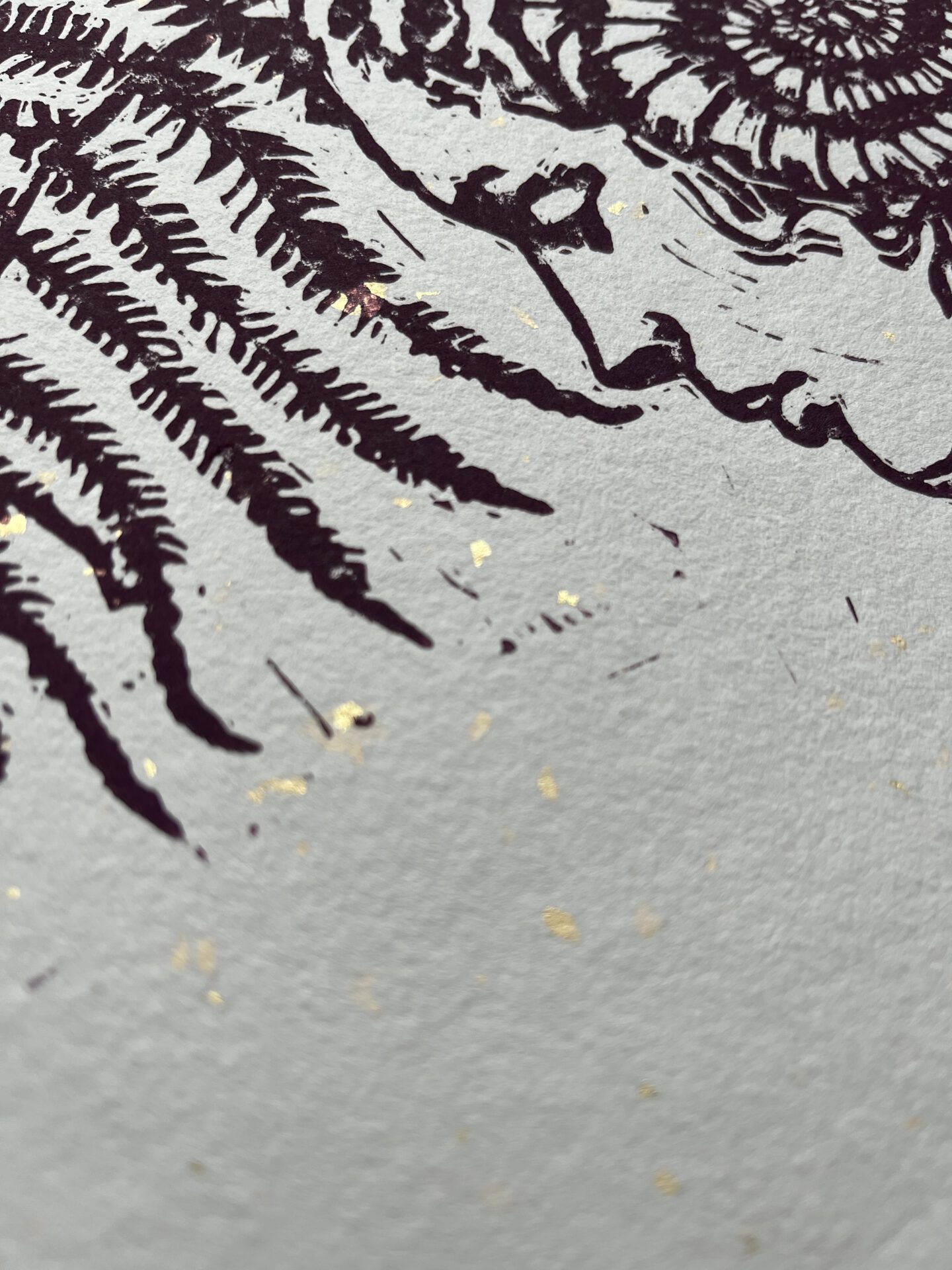 Posterdruck Farnkopf – Bild 4